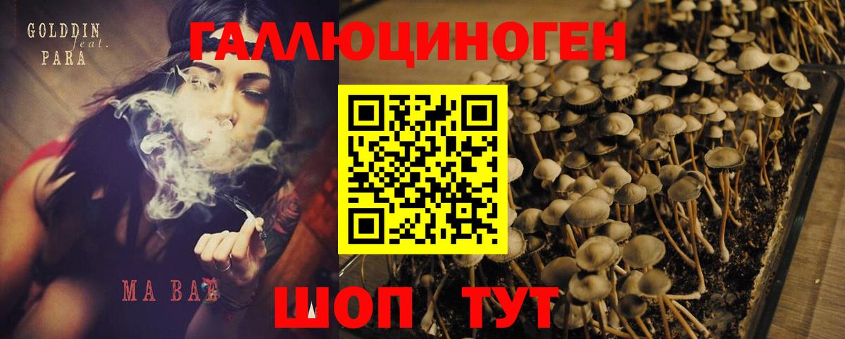 Галлюциногенные грибы ЛСД  где купить наркоту  Псилоцибиновые грибы MAGIC MUSHROOMS  Губкин  Вход с VPN 