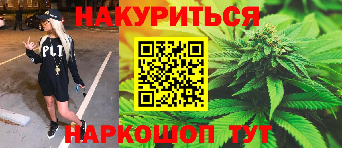 Губкин  Шишки марихуана план  МАРИХУАНА сатива  Вход с VPN 